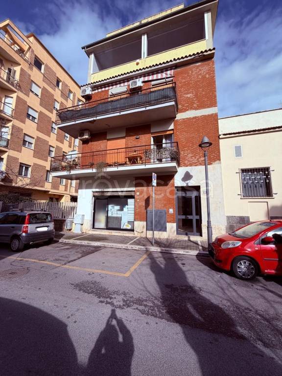 immagine annuncio 12 di 13