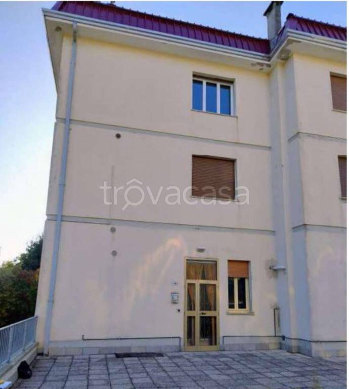 immagine annuncio 3 di 12