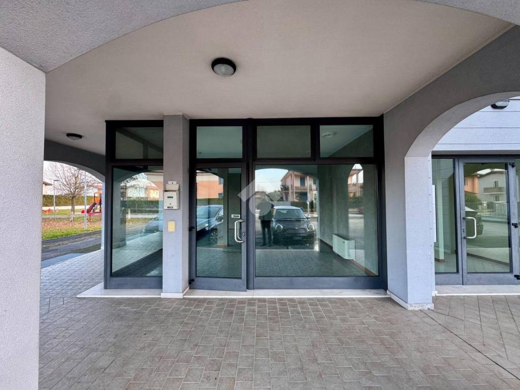 immagine annuncio 5 di 14