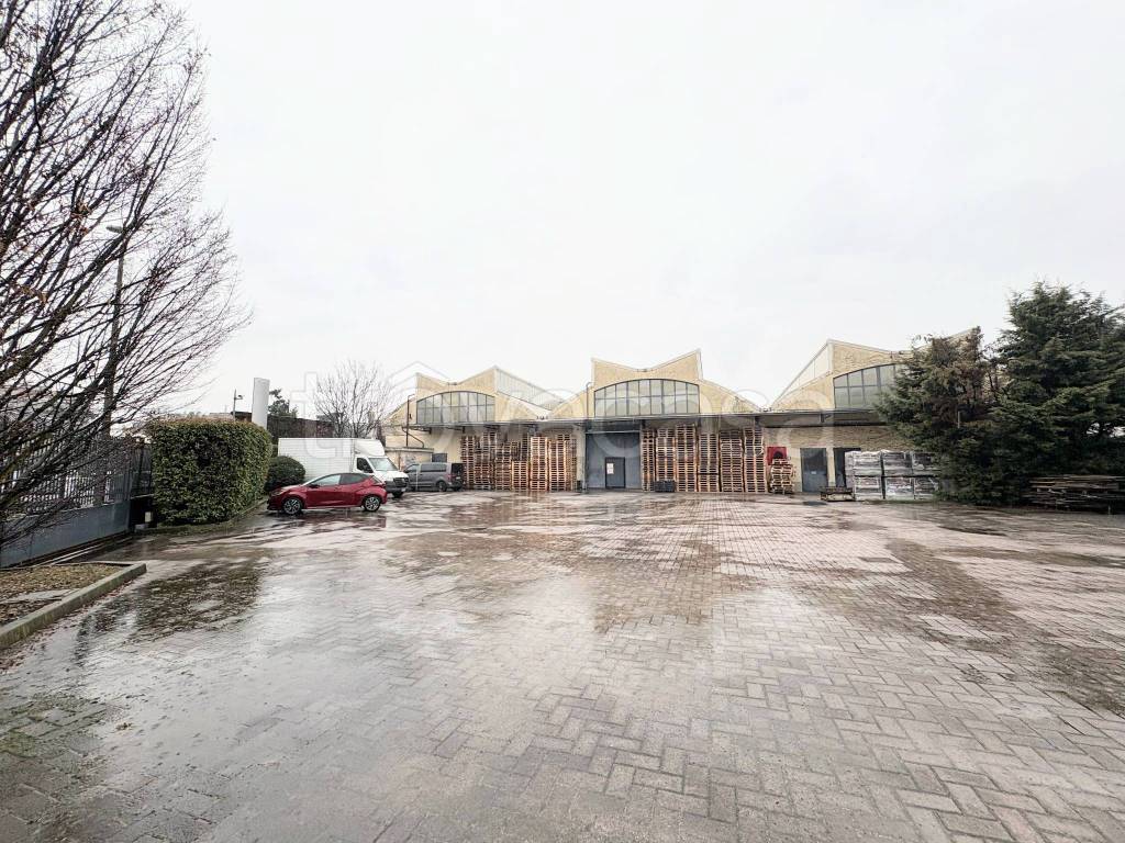 immagine annuncio 1 di 15