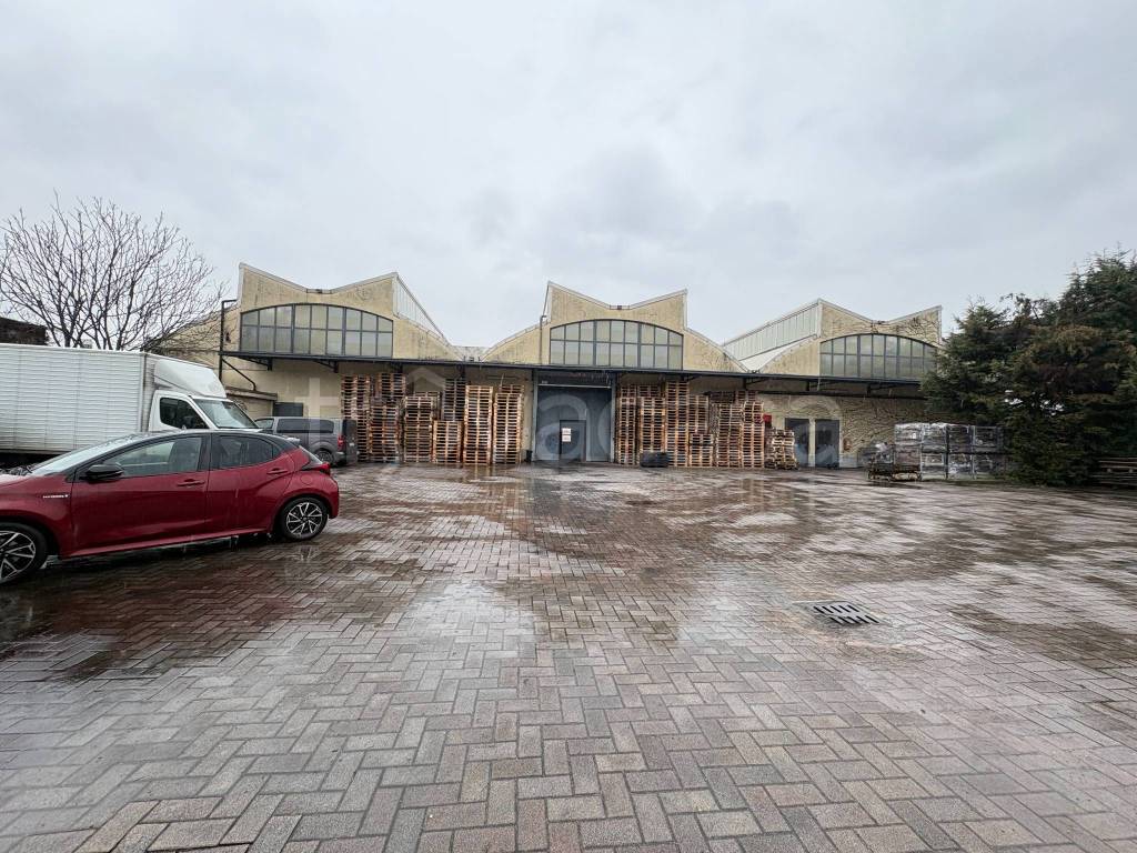 immagine annuncio 6 di 15