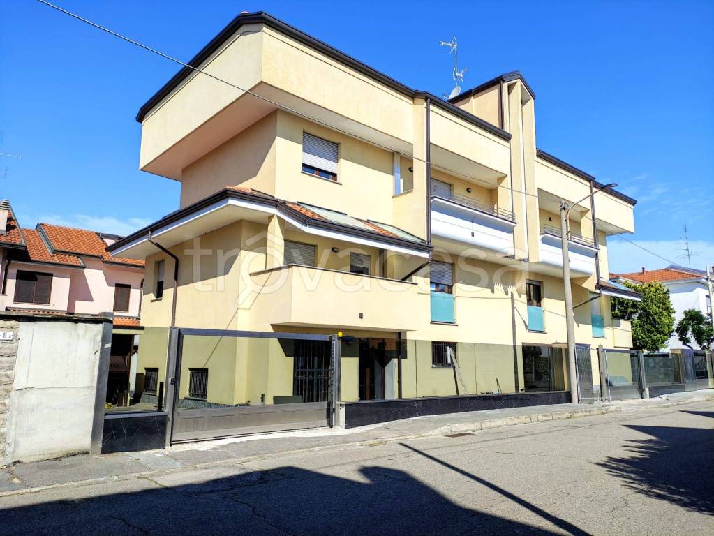 immagine annuncio 12 di 13