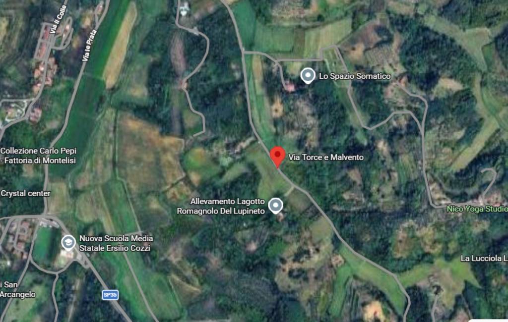 immagine annuncio 2 di 12