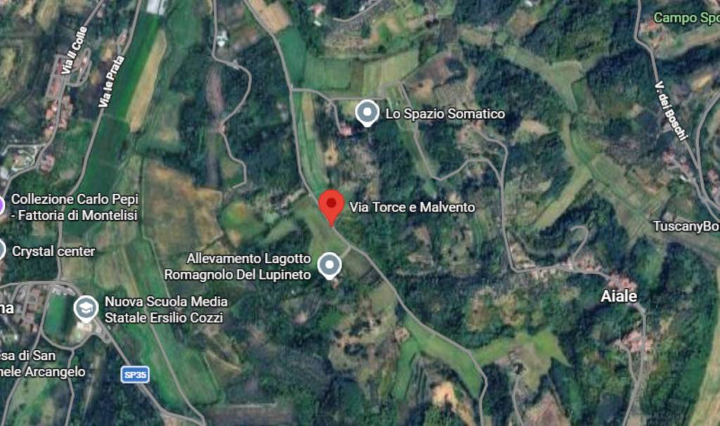 immagine annuncio 3 di 12