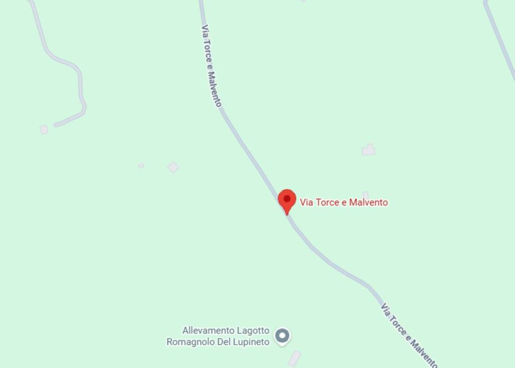 immagine annuncio 8 di 12