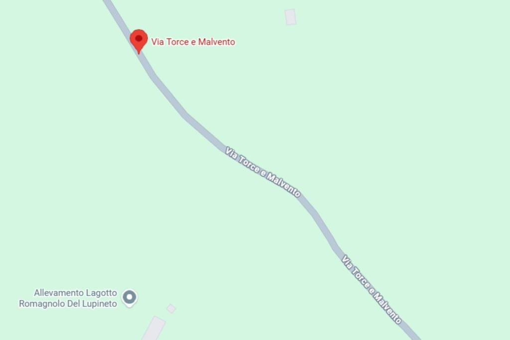 immagine annuncio 9 di 12