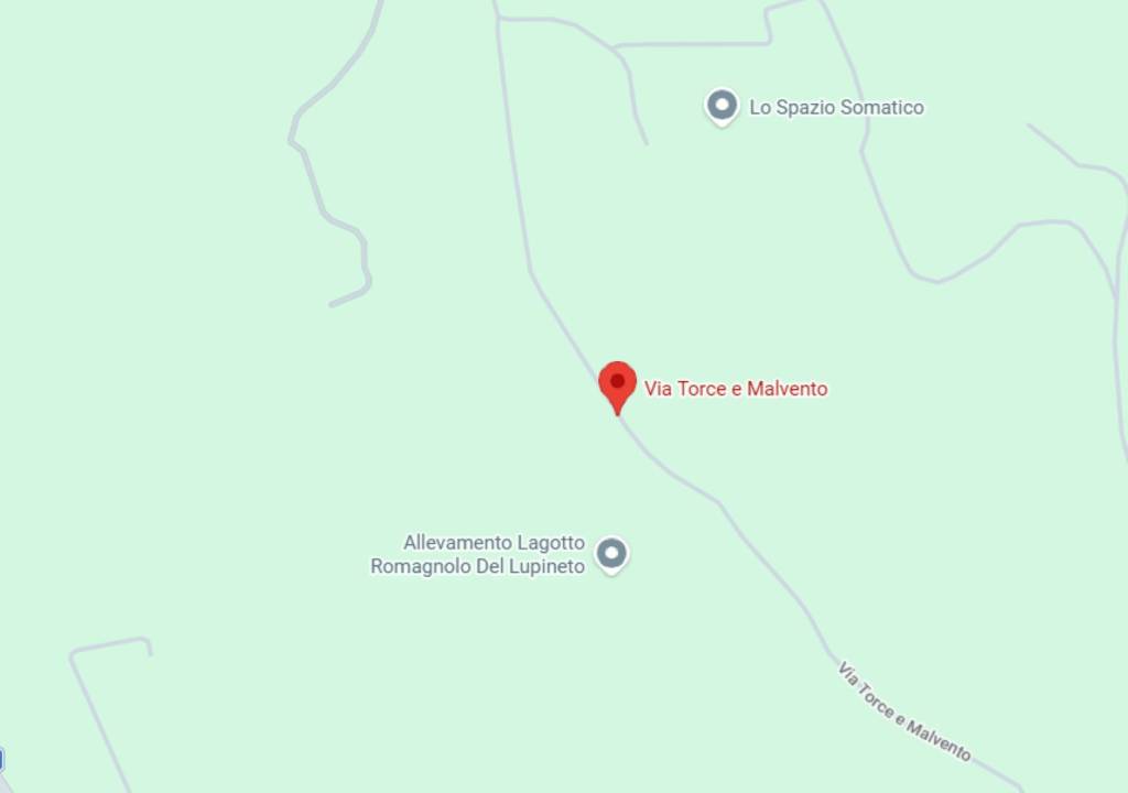 immagine annuncio 10 di 12