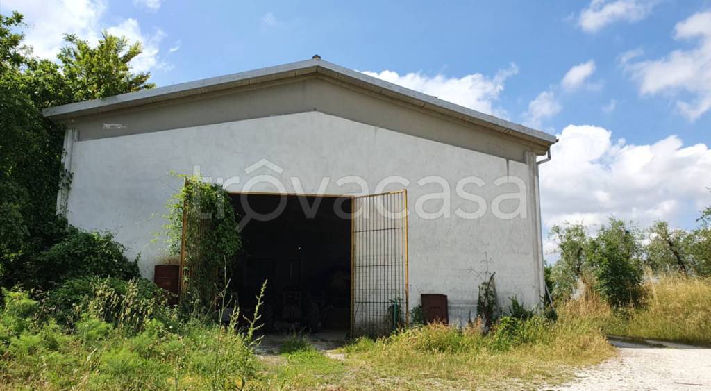 immagine annuncio 11 di 12