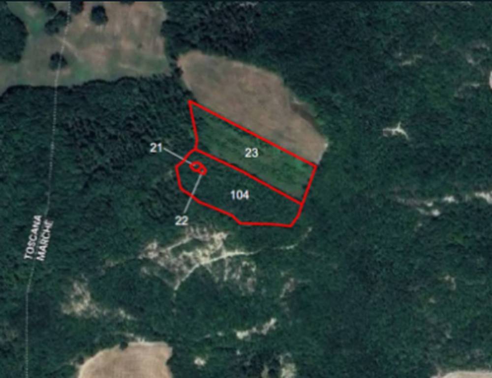 immagine annuncio 9 di 11