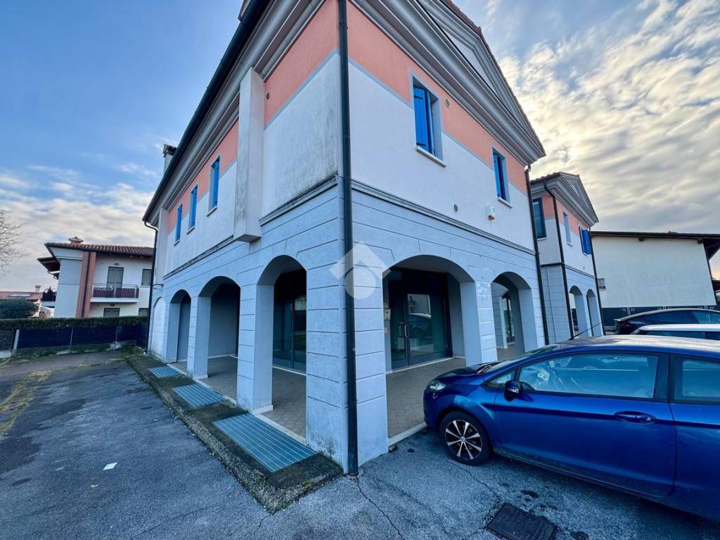 immagine annuncio 11 di 14