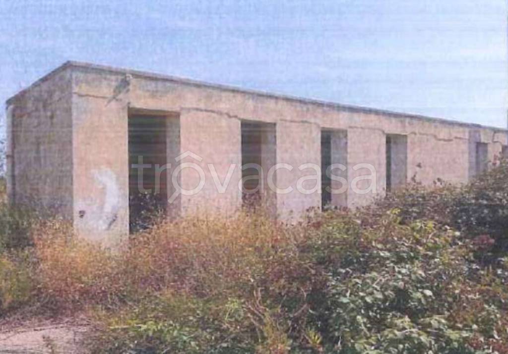 immagine annuncio 9 di 11