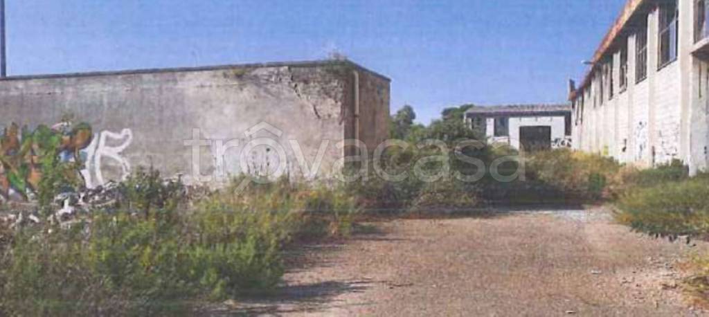 immagine annuncio 10 di 11