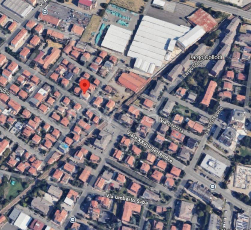 immagine annuncio 10 di 11