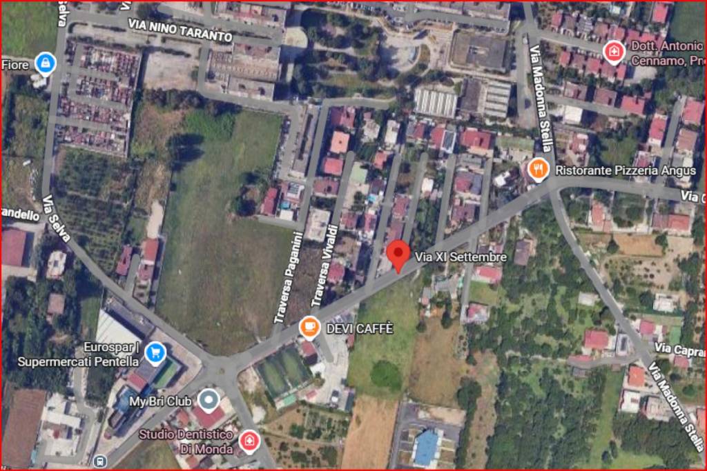 immagine annuncio 11 di 12