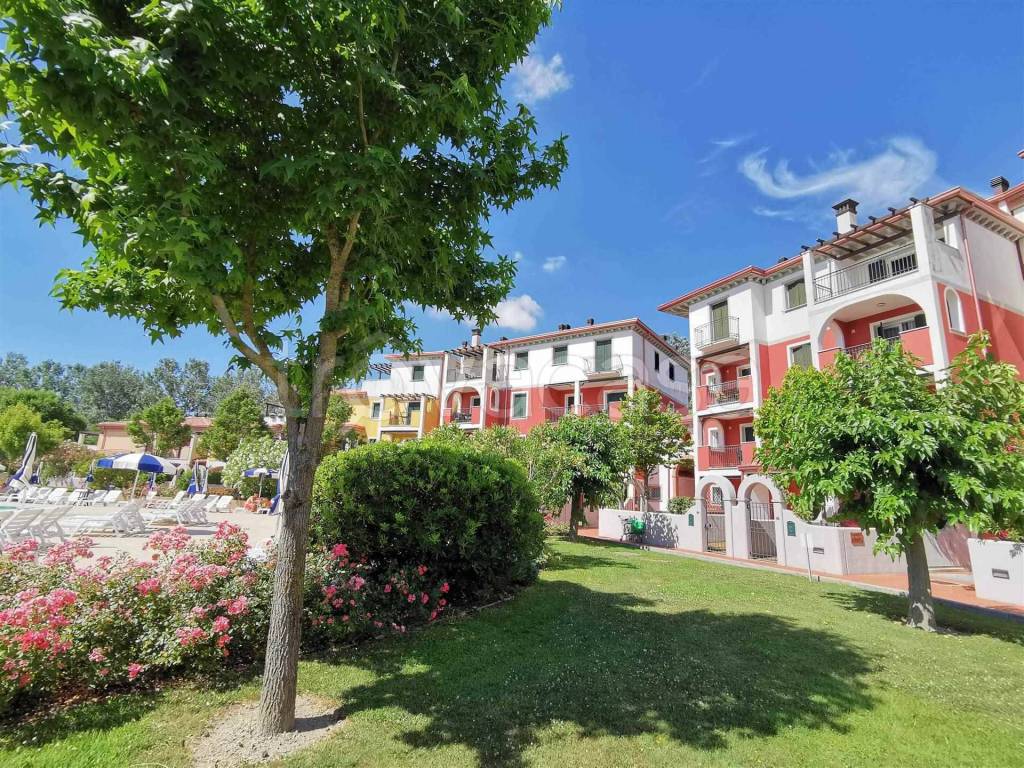 immagine annuncio 12 di 13