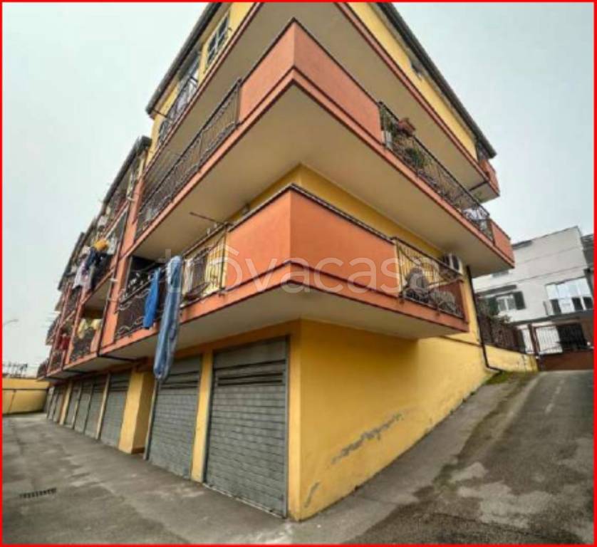 immagine annuncio 1 di 12