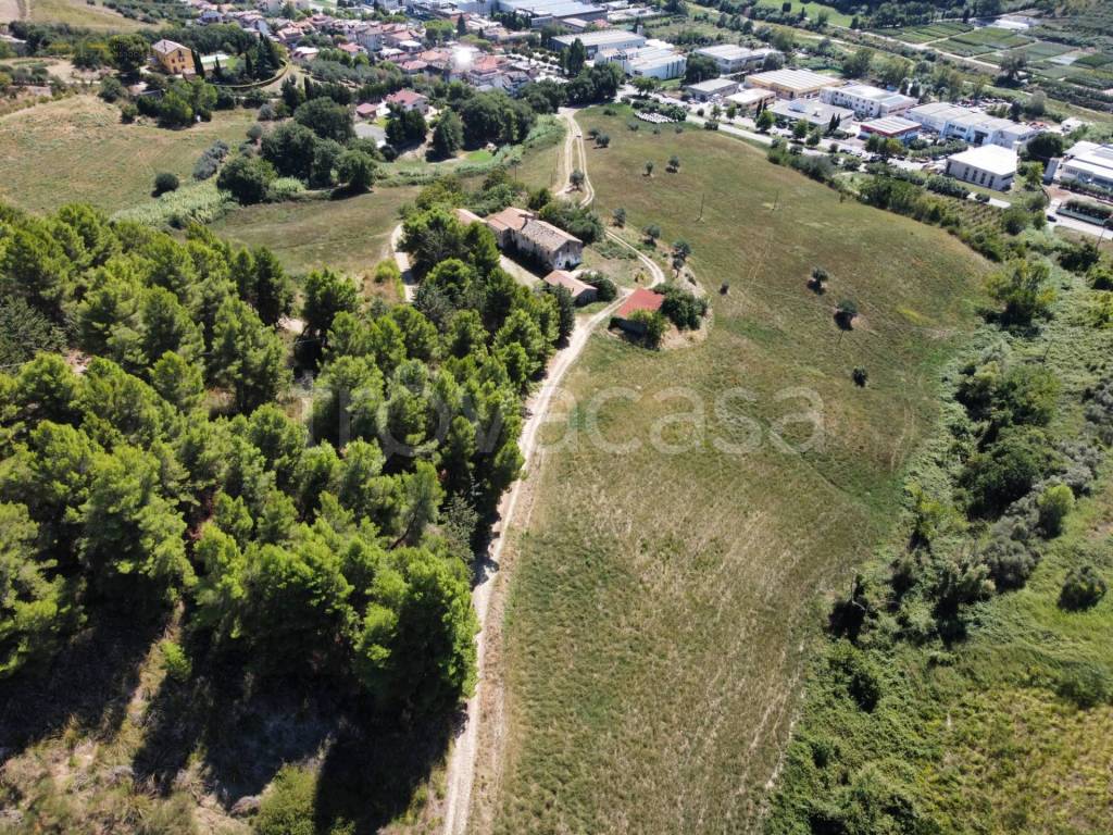 immagine annuncio 11 di 15