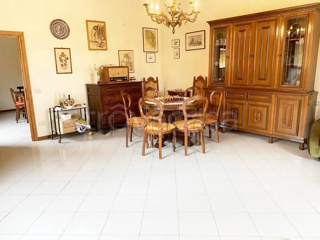 immagine annuncio 7 di 13