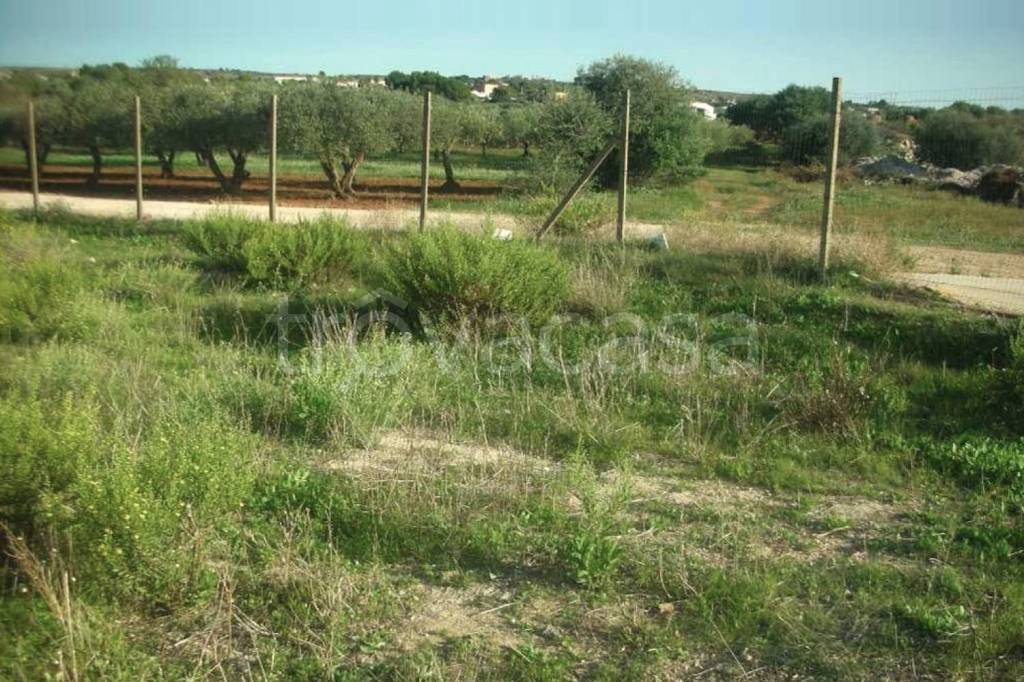 immagine annuncio 3 di 11