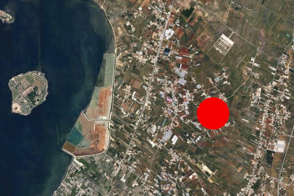 immagine annuncio 7 di 11