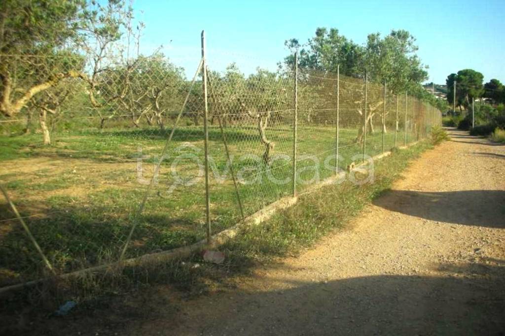 immagine annuncio 2 di 11