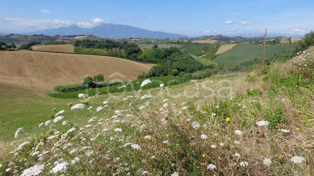 immagine annuncio 4 di 12