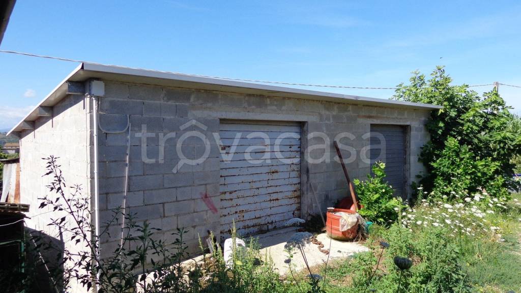 immagine annuncio 10 di 12