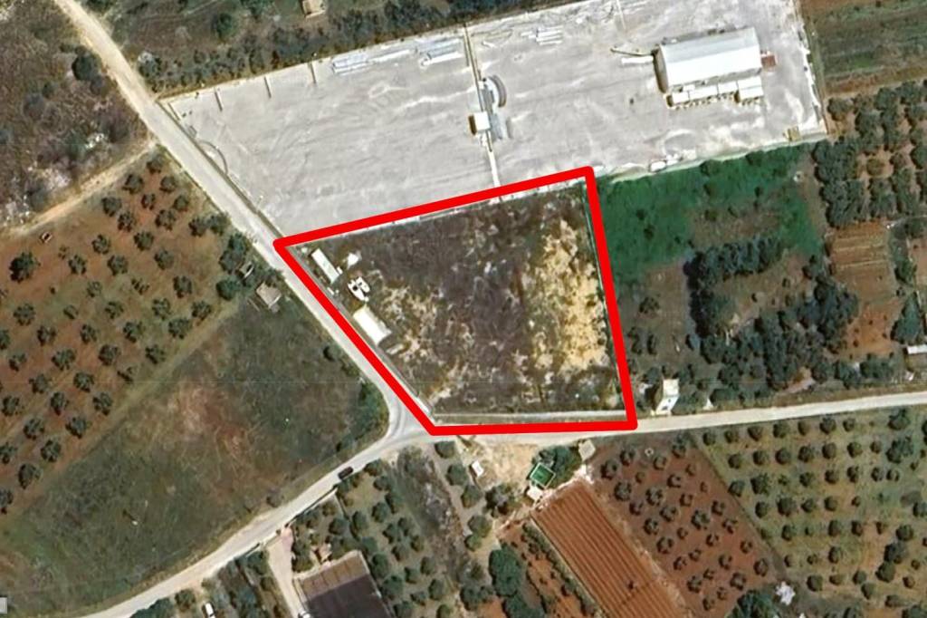 immagine annuncio 5 di 11