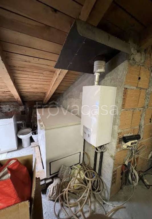 immagine annuncio 12 di 14