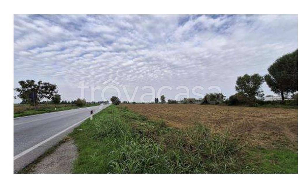 immagine annuncio 4 di 8