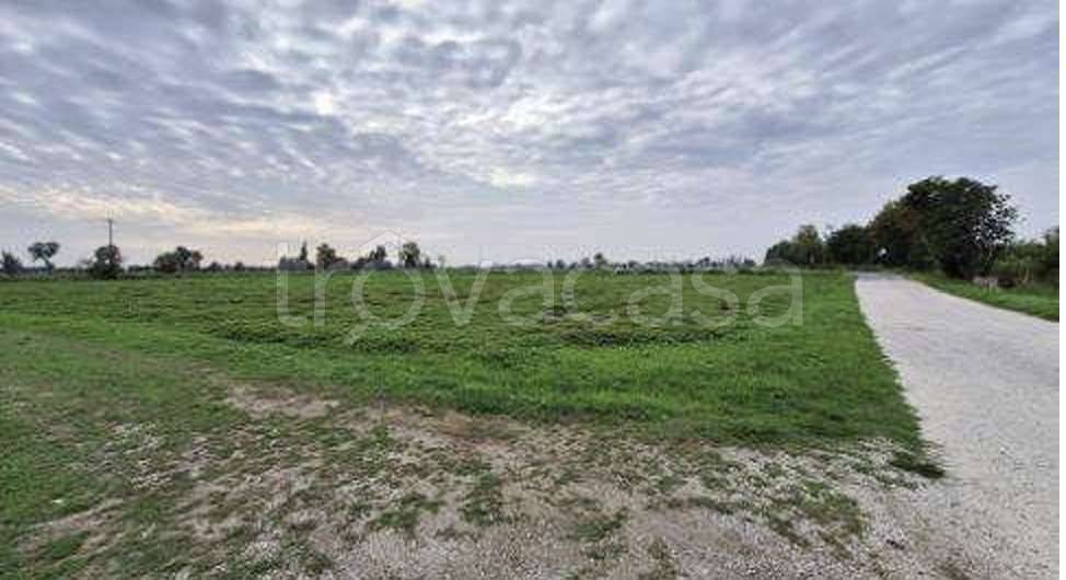 immagine annuncio 7 di 8