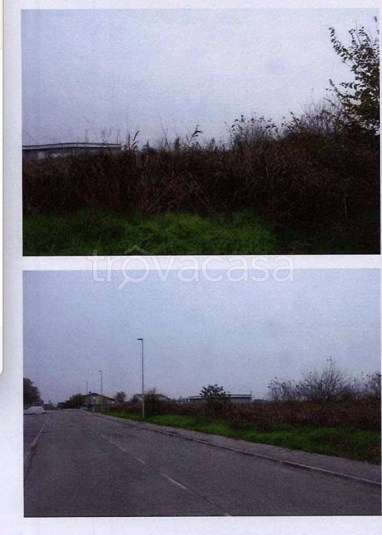 immagine annuncio 3 di 12