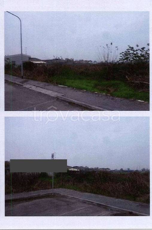 immagine annuncio 6 di 12