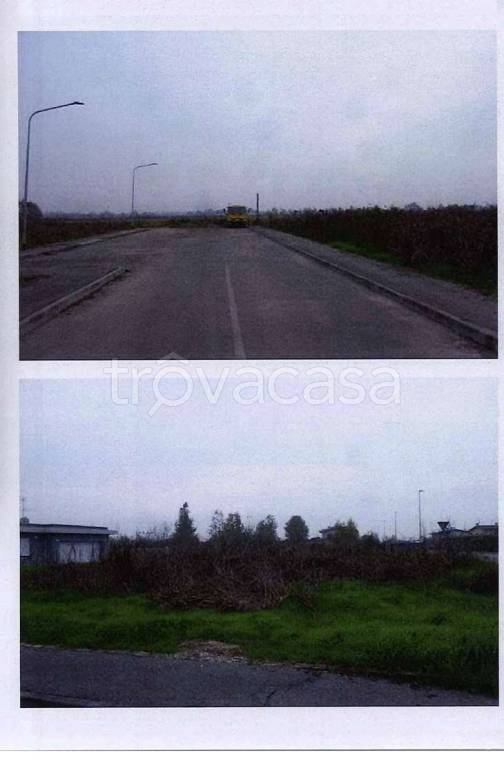 immagine annuncio 7 di 12