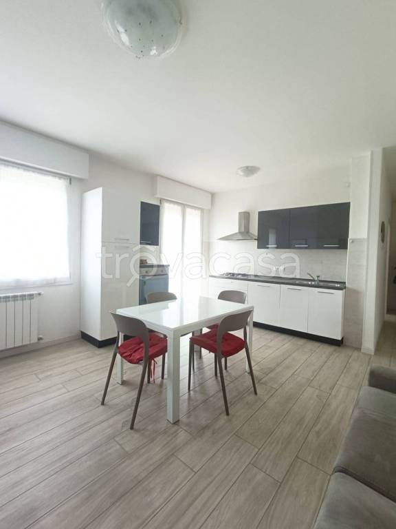 immagine annuncio 2 di 12