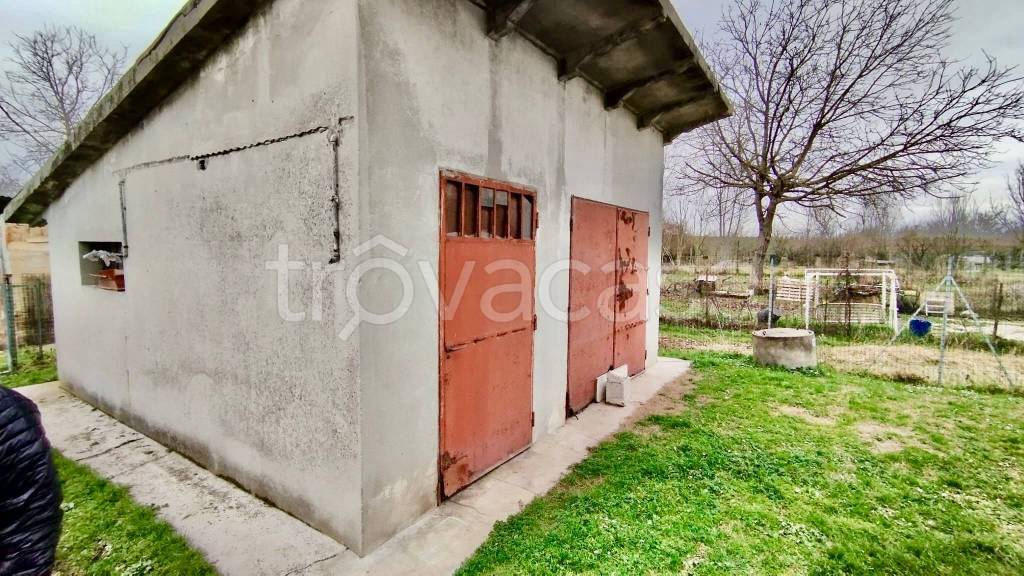 immagine annuncio 8 di 11