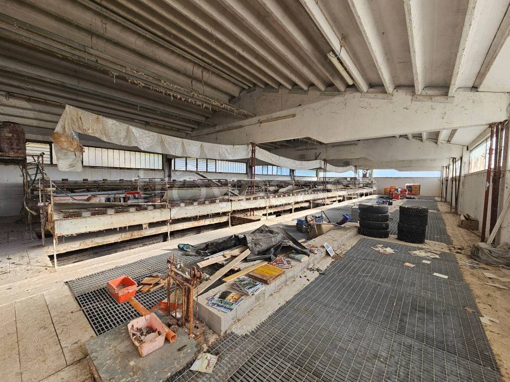 immagine annuncio 3 di 10