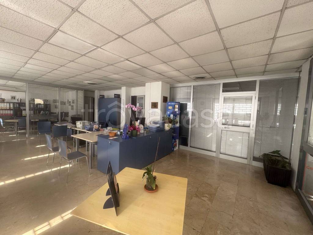 immagine annuncio 5 di 14