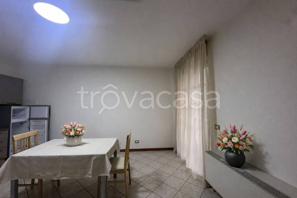 immagine annuncio 1 di 14