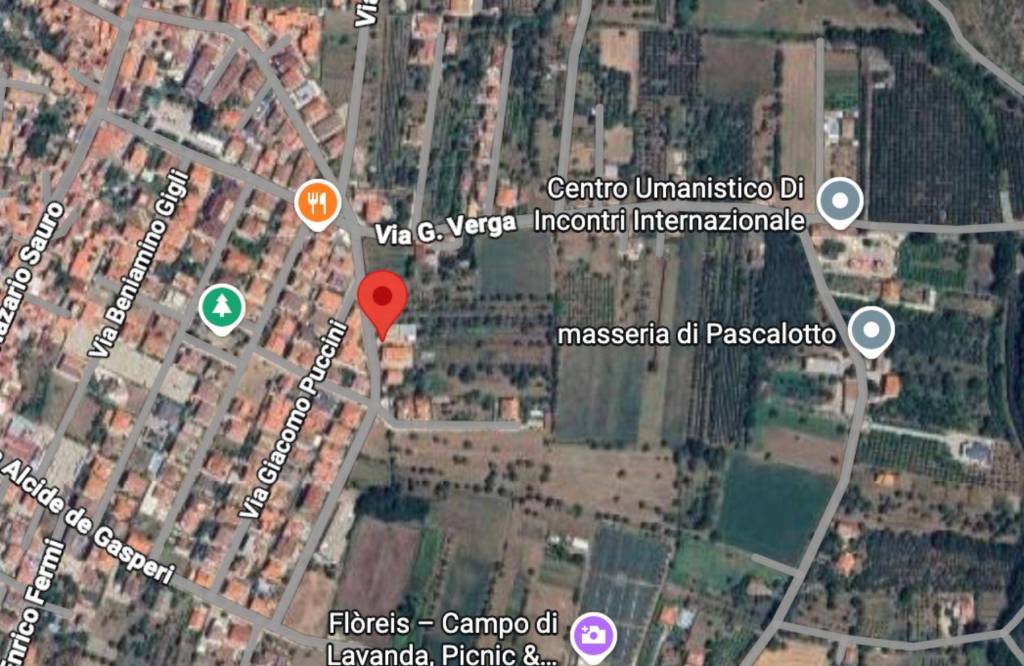 immagine annuncio 6 di 10