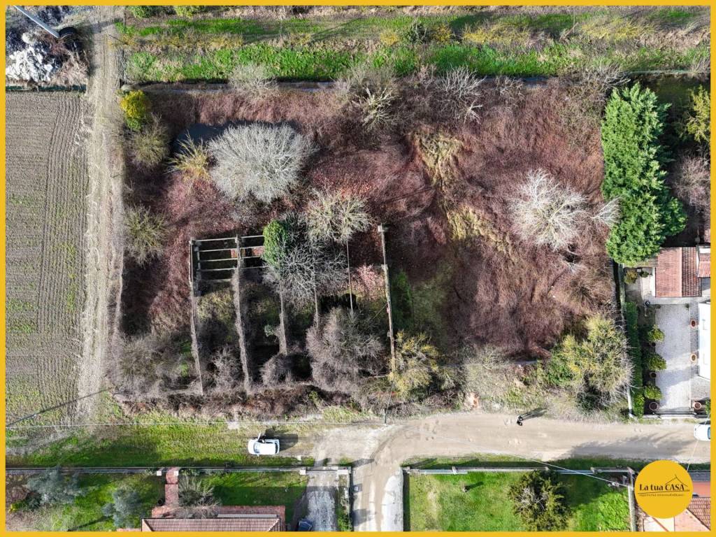 immagine annuncio 12 di 15