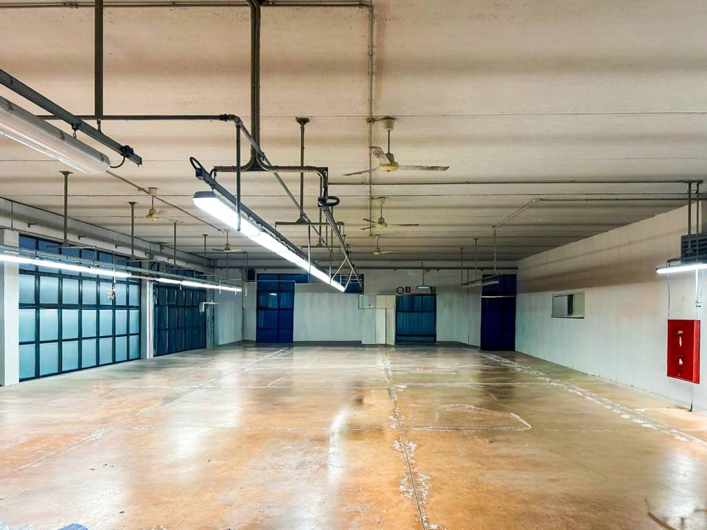 immagine annuncio 4 di 15