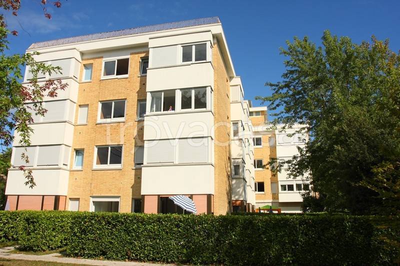 immagine annuncio 7 di 8