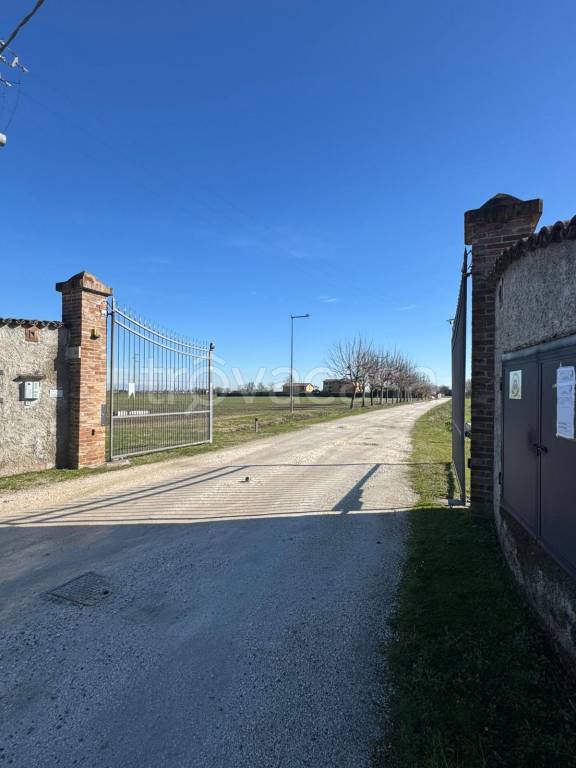 immagine annuncio 2 di 13