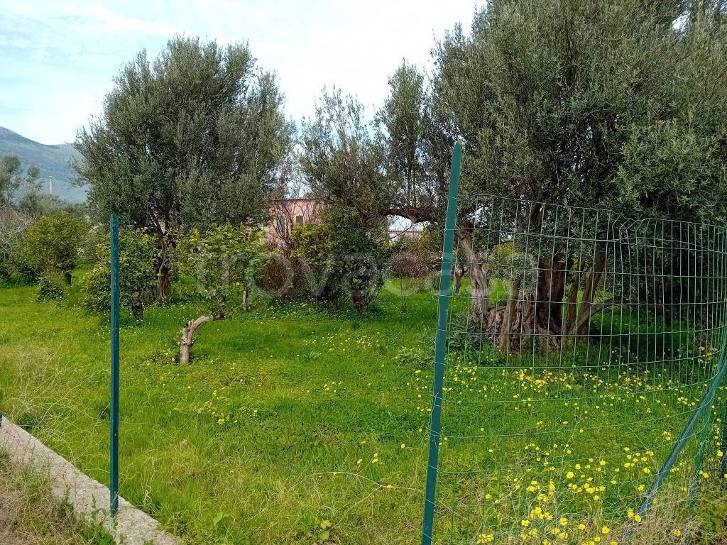 immagine annuncio 2 di 7