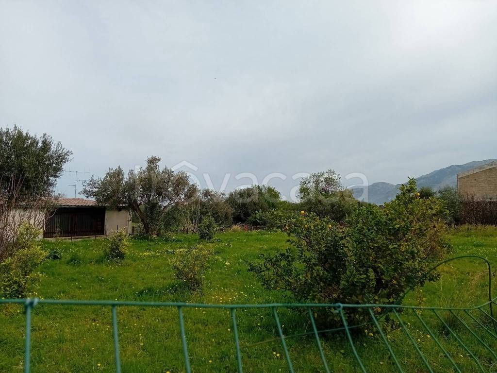 immagine annuncio 4 di 7