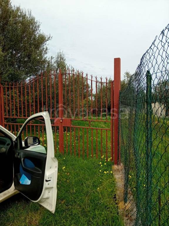 immagine annuncio 5 di 7