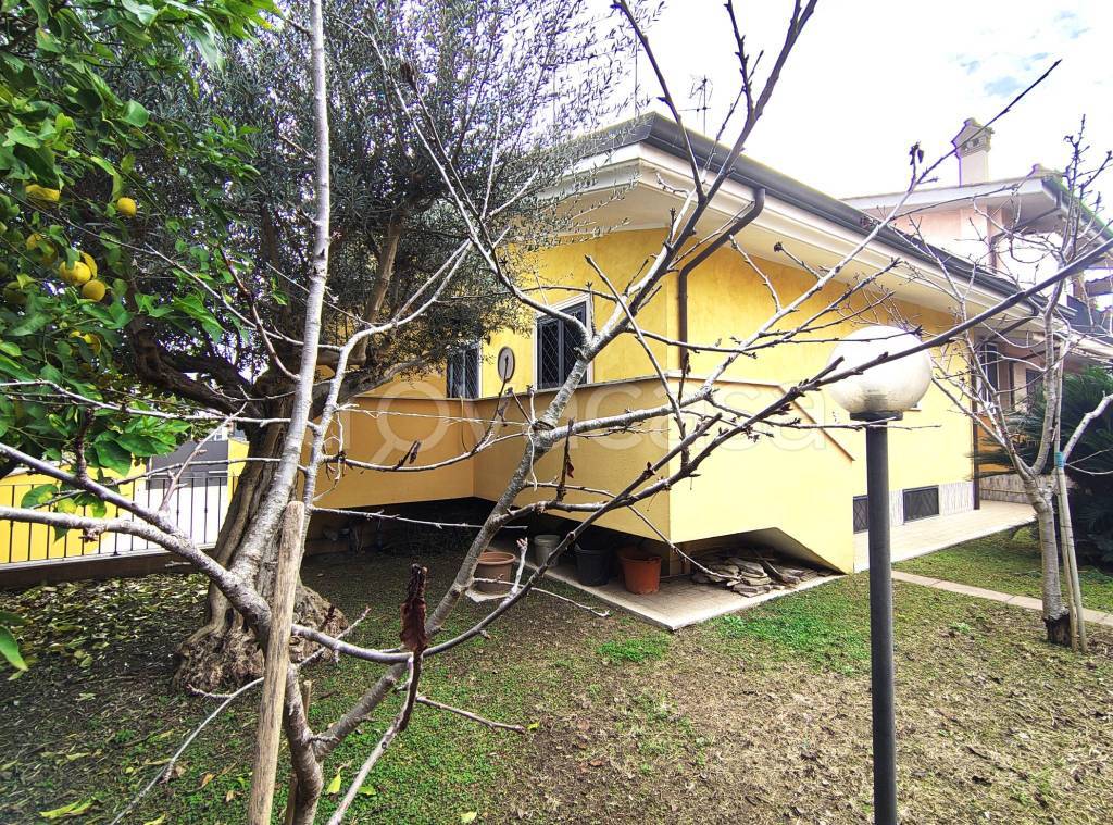 immagine annuncio 12 di 15