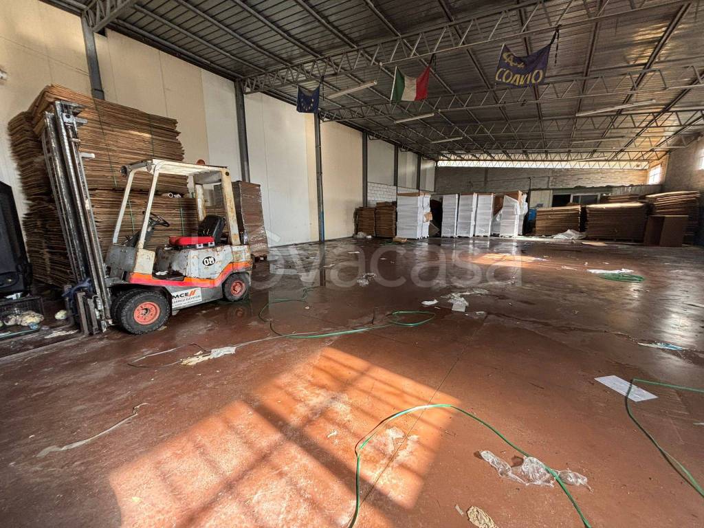 immagine annuncio 8 di 10