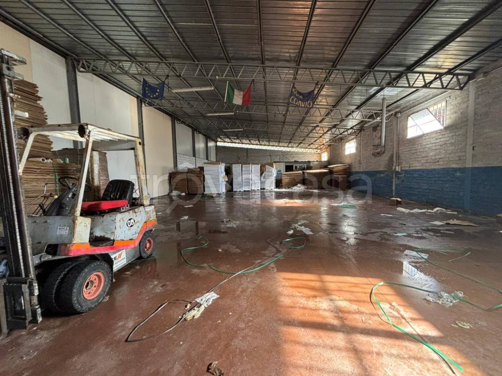 immagine annuncio 9 di 10